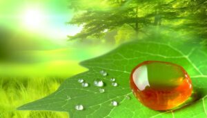 Pure Earth CBD Gummies – Whole-Body Relief Starts Here
